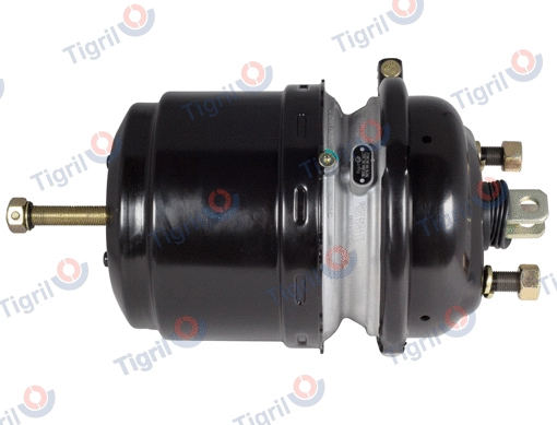 Spring-loaded Cylinder (DB12.0024)