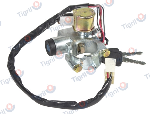 Steering Lock (DB16.0019)