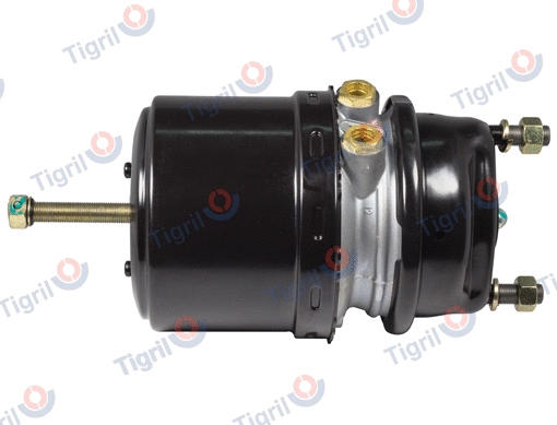 Spring-loaded Cylinder (DB13.0041)