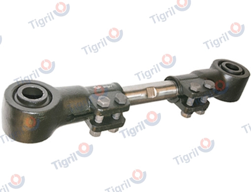 Control/Trailing Arm, wheel suspension (BP09.0005)