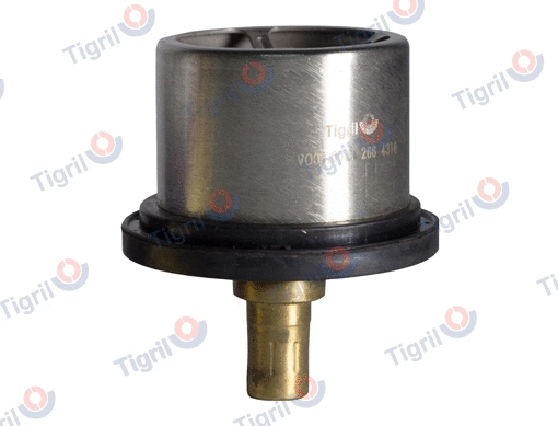 Thermostat, coolant (VO01.0031)