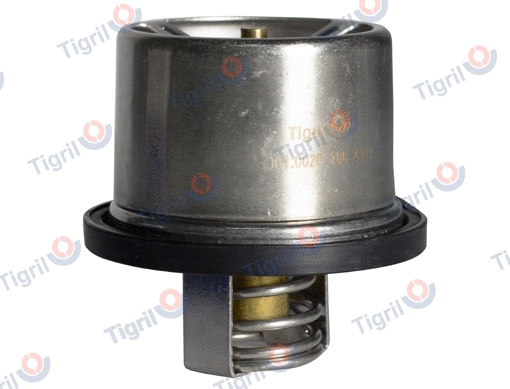 Thermostat, coolant (VO01.0020)
