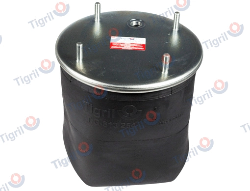 Bellow, air suspension (RO10.0001)