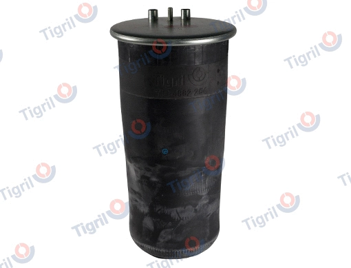 Bellow, air suspension (MA09.0006)