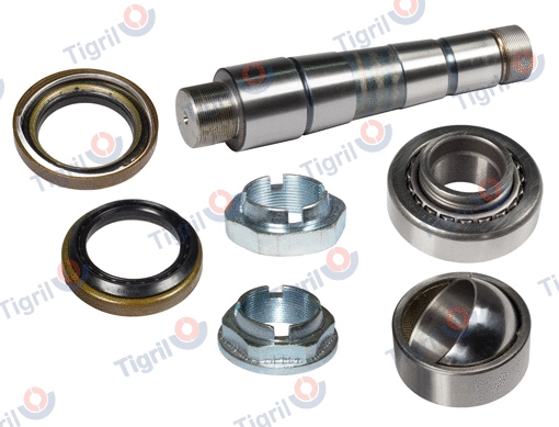 Repair Kit, kingpin (VO08.0005)