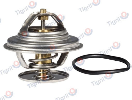 Thermostat, coolant (DB01.0074)