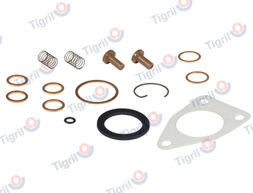 Repair Kit, hand feed pump (DB01.0066)