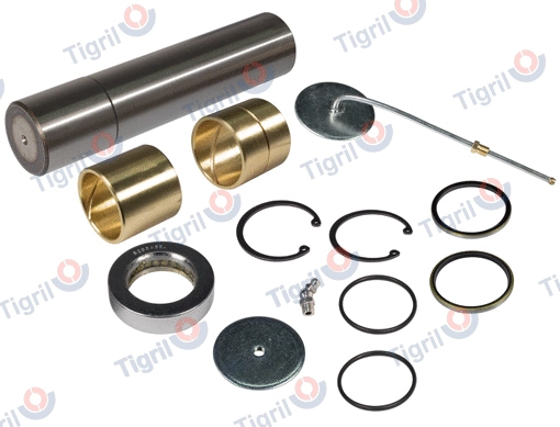 Repair Kit, kingpin (DB08.0003)