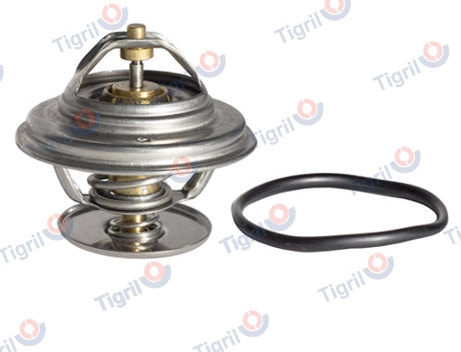 Thermostat, coolant (DB01.0075)