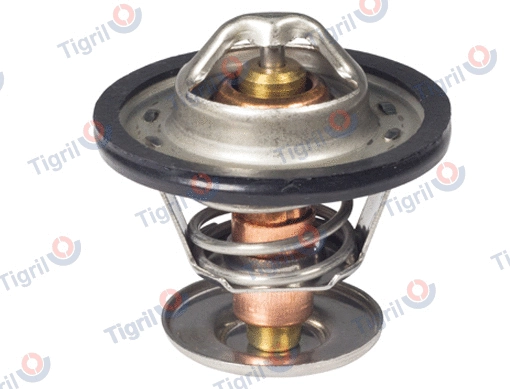 Thermostat, coolant (VO01.0018)