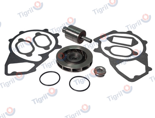 Repair Kit, water pump (DB01.0073)