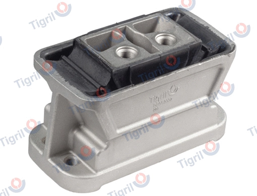 Mounting, engine (DB01.0002)