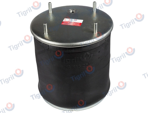 Bellow, air suspension (SF10.0009)