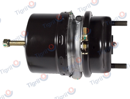 Spring-loaded Cylinder (DB12.0028)