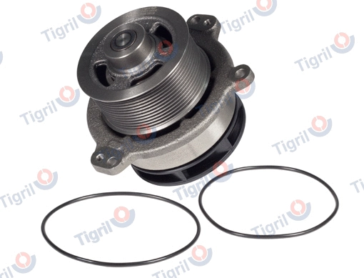 Water Pump, engine cooling (IV01.0006)