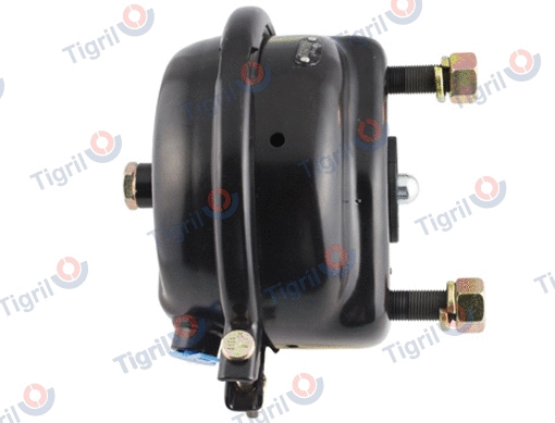 Diaphragm Brake Cylinder (BP12.0001)