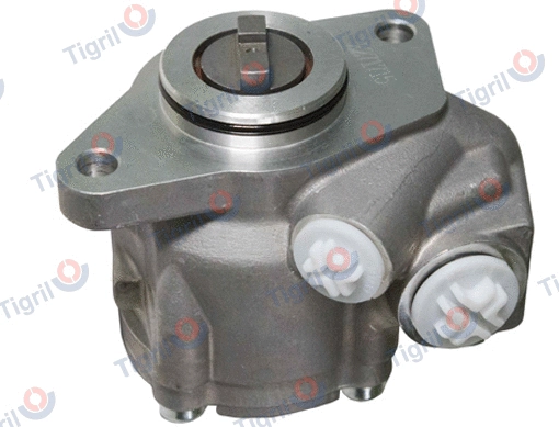 Hydraulic Pump, steering (MA07.0004)