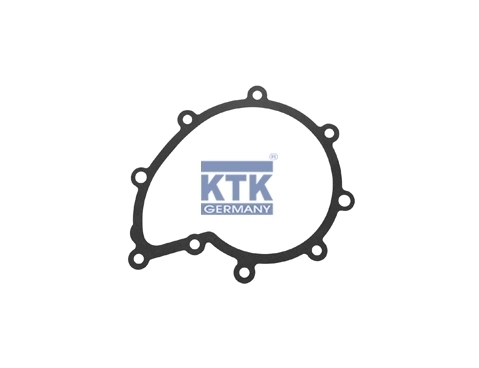 Gasket, water pump (20337)