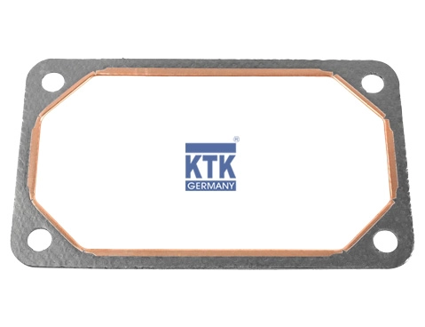 Gasket, exhaust manifold (18254)