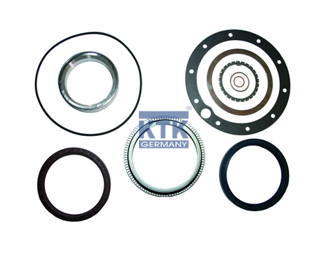 Gasket Set, wheel hub (19988)