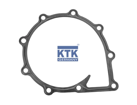 Gasket, water pump (19911)