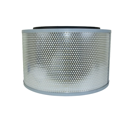 Air Filter (28221)