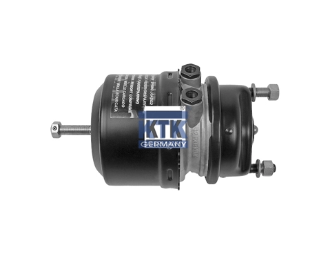 Spring-loaded Cylinder (21599)