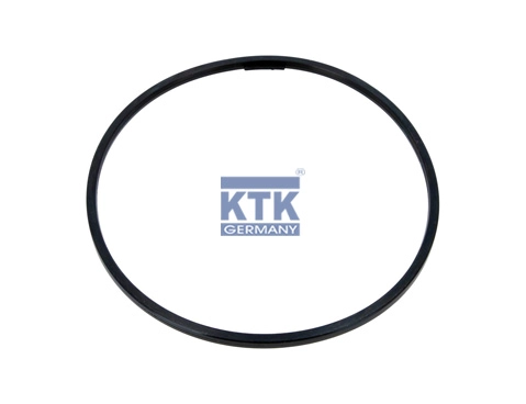 Seal Ring (26683)