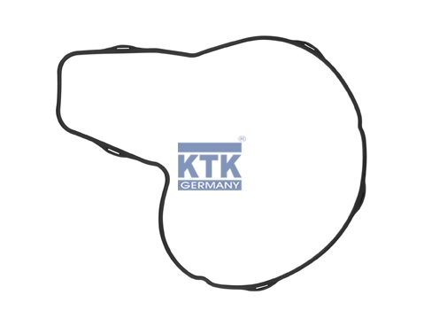 Gasket, water pump (26907)