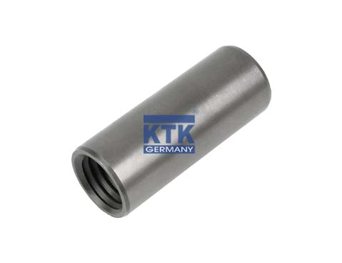 Bush, spring eye (19891)