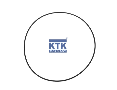 O-Ring, cylinder sleeve (19352)