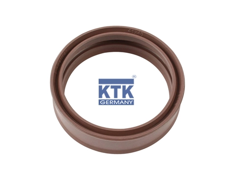 Gasket, manual transmission housing (19669)