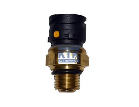 Pressure Switch (21224)