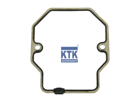 Gasket, cylinder head cover (16227)