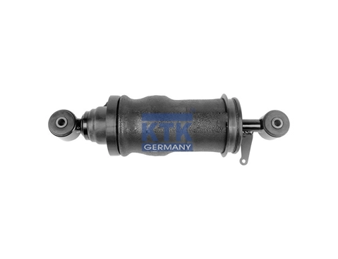 Shock Absorber (22796)