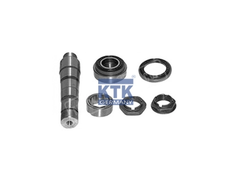 Repair Kit, kingpin (25151)