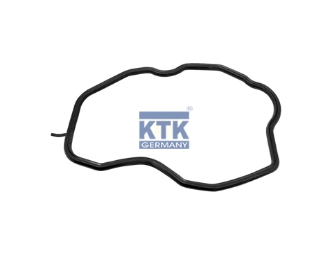 Gasket, cylinder head cover (20348)