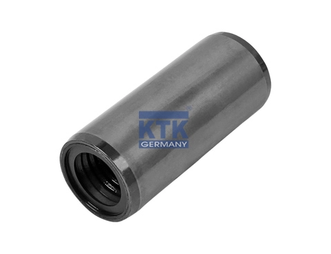 Bush, spring eye (23359)