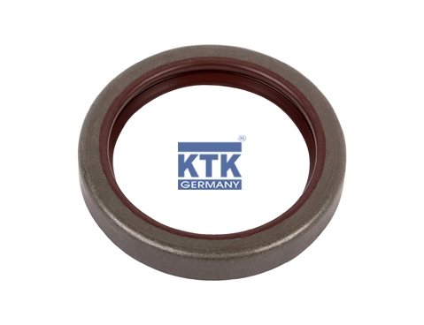 Gasket, manual transmission housing (19670)