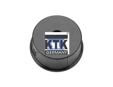 Mounting, engine (21000)