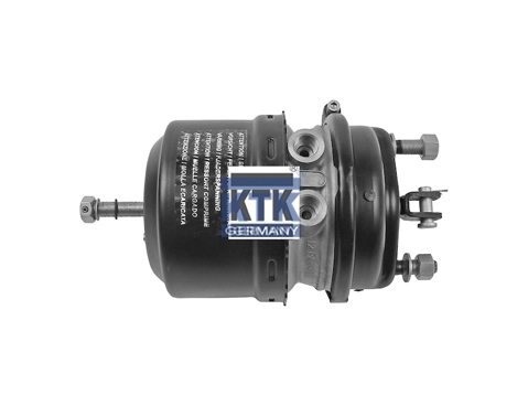 Spring-loaded Cylinder (23762)