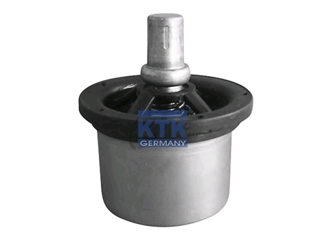 Thermostat, coolant (22003)