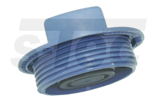 Cap, coolant tank (BL22062-SV-9002)