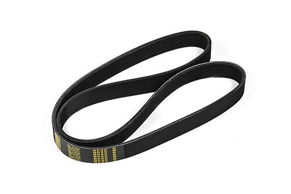 V-Ribbed Belt (Z23034)