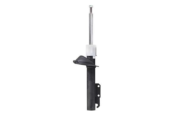 Shock Absorber (Z00818)