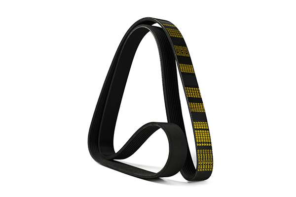 V-Ribbed Belt (Z22964)