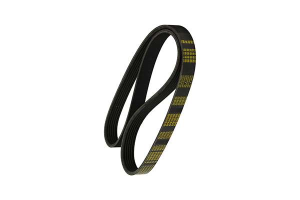 V-Ribbed Belt (Z22775)