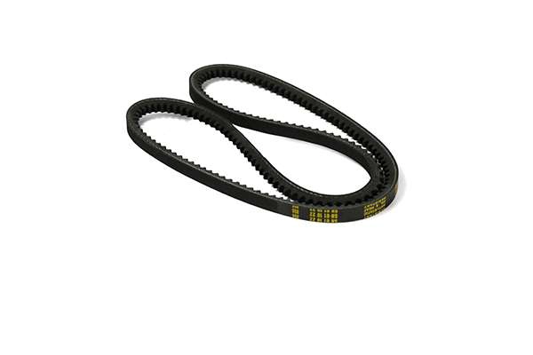 V-Belt (Z22783)