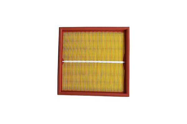 Filter, cabin air (Z33903)