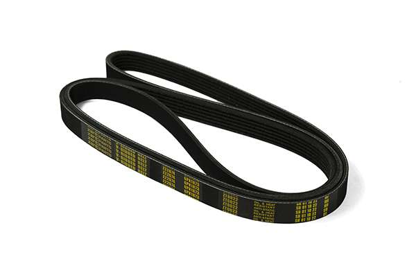 V-Ribbed Belt (Z22674)